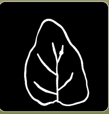 A teardrop-shaped outline with a few side veins.