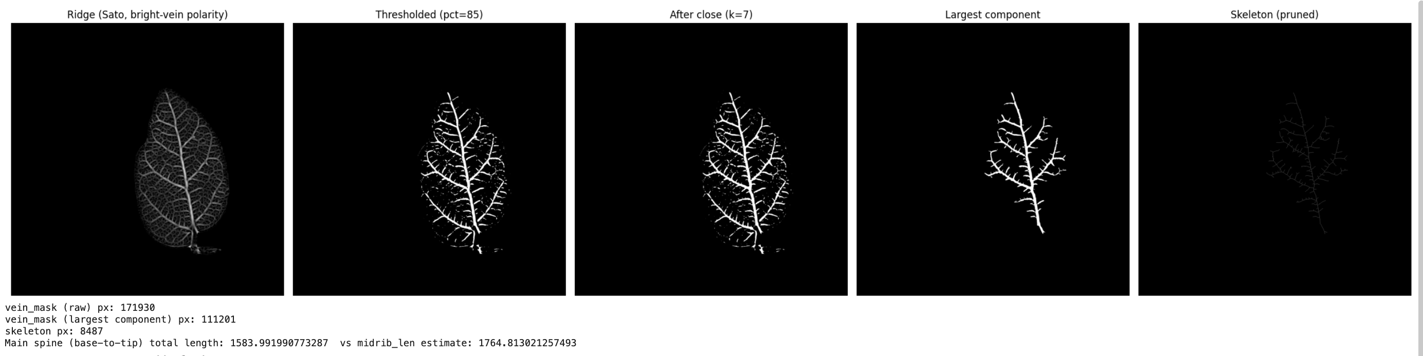 Five-panel diagnostic: ridge filter, thresholded mask, after morphological closing, largest connected component, and the pruned skeleton.