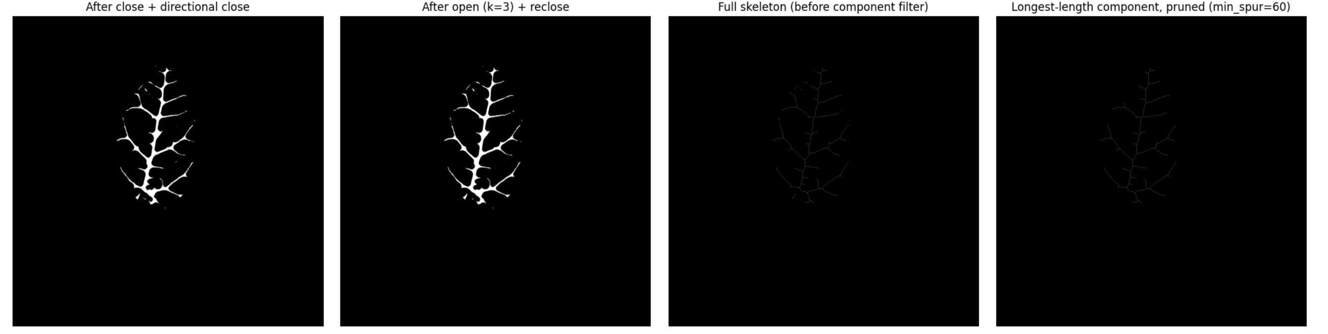 Four-panel diagnostic for the revised pipeline: after close and directional close, after open and reclose, the full raw skeleton, and the final longest-length component pruned.
