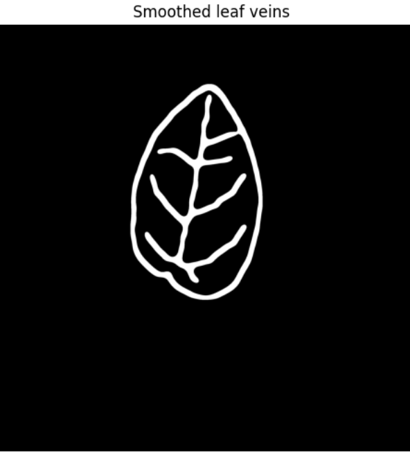 The same traced vein network after smoothing, with thicker, softer lines closer to what a hand-drawn sketch would look like.