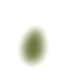 A blurred green shape hinting at the generated leaf, revealed later.